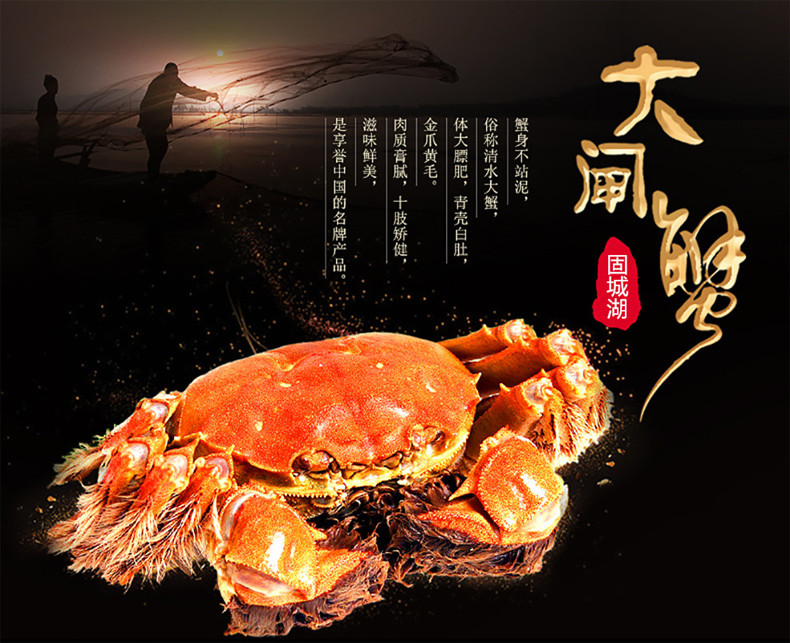 大闸蟹礼盒（固城湖）